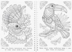 Раскраска-антистресс «Мир природы» - Фото 3