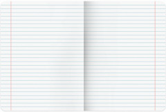 Набор предметных тетрадей - Фото 13