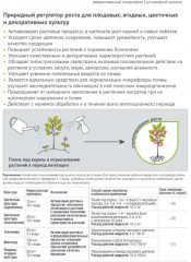 Активатор роста «Янтарин» - Фото 1