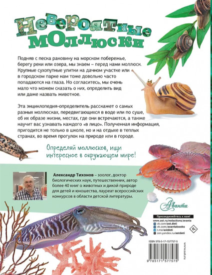 Моллюски, кораллы, морские звёзды, морские ежи