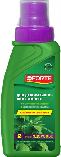 Удобрение для декоративно-лиственных растений