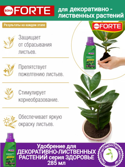 Удобрение для декоративно-лиственных растений