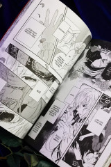 Кровь розы. Том 1 - Фото 11