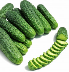 Огурец «Альянс F1» - Фото 1