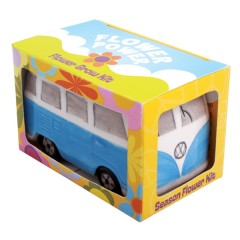 Ромашки декоративные в горшочке "Автобус" - Фото 1