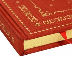 Конек-горбунок - Фото 5