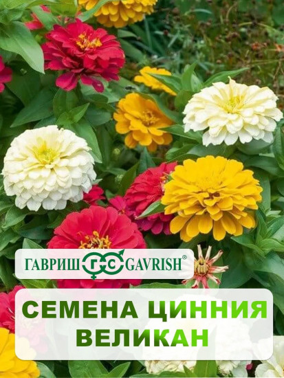 Цинния «Великан смесь»