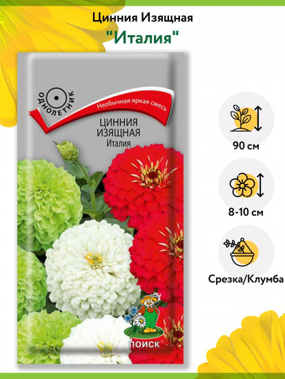Цинния изящная «Италия»