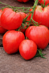 Семена коллекционные томата «Девичье сердце» - Фото 1