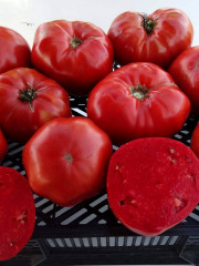 Семена коллекционные томата «Замок Шартр» - Фото 2