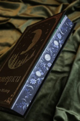 Сумерки - Фото 7