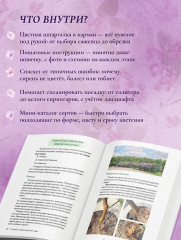Сирень. Символ русского сада. Шпаргалка-трекер по посадке и уходу - Фото 4
