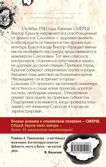 За спиной войны