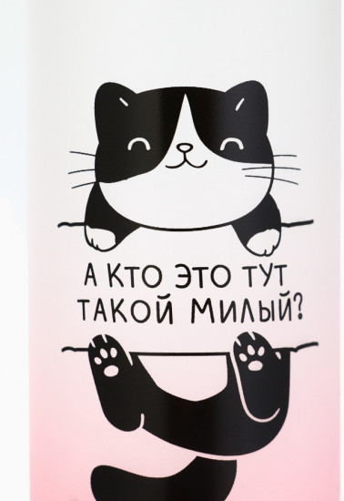 Бутылка для воды «Котя»
