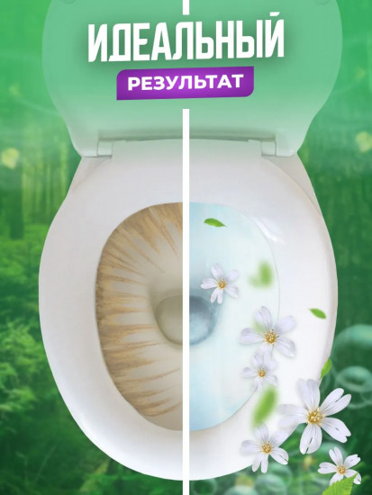 Набор таблеток для сливного бачка «Лесная свежесть»
