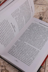 Драгун. Эскадрон, сабли наголо! - Фото 7