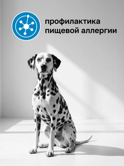 Сухой корм для собак «Hypoallergenic»