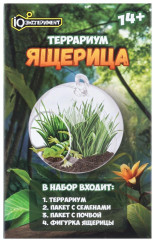 Набор для опытов по выращиванию растений «Террариум. Ящерица» - Фото 4