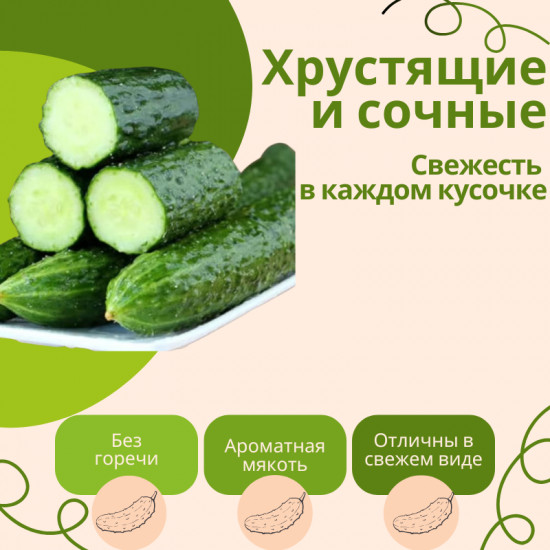 Семена. Китайские огурцы