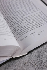 Чужак - Фото 7