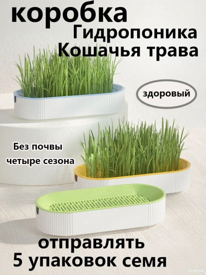 Набор для проращивания травы для кошек с семенами «Грин»