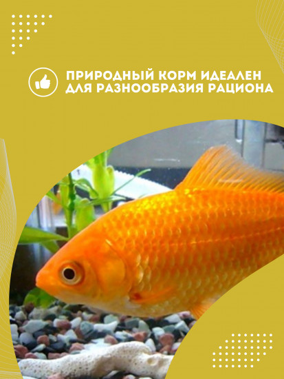 Корм для рыб «Дафния»