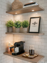 Растение декоративное «Mini Loft» - Фото 4