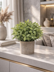 Растение декоративное «Mini Loft» - Фото 5