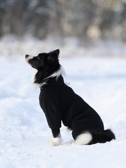 Комбинезон для собак на молнии