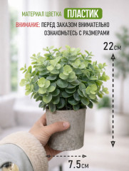 Цветок эвкалипт «Green Loft» - Фото 1