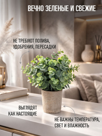 Цветок эвкалипт «Green Loft»