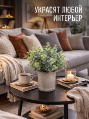 Цветок эвкалипт «Green Loft» - Фото 3