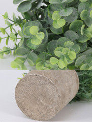 Цветок эвкалипт «Green Loft» - Фото 5