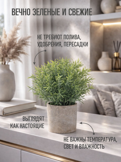 Растение декоративное «Mini Loft»