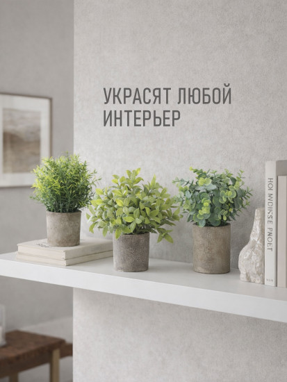 Растение декоративное «Mini Loft»