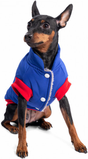 Попона для собак «Marvel. Человек-паук»