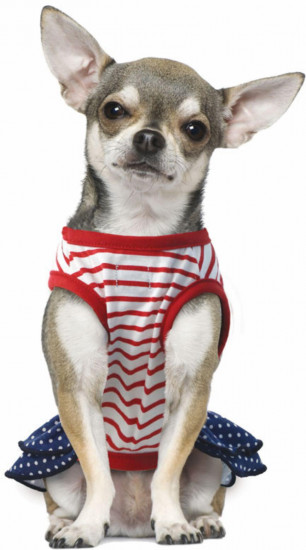 Платье для собак «Disney Minnie»