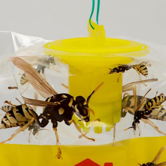 Ловушка для ос