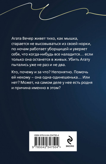 Брошь с чёрным опалом