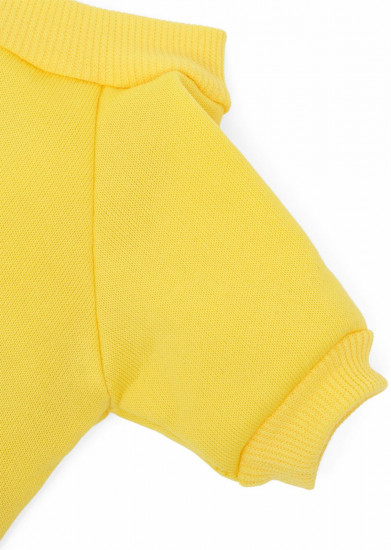 Толстовка для собак «Дружок»