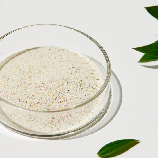 Энзимная пудра «Sungboon Green Tomato Deep Pore»