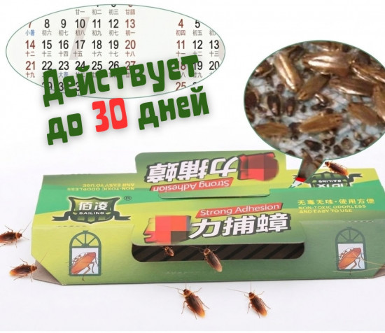 Набор клеевых ловушек от тараканов