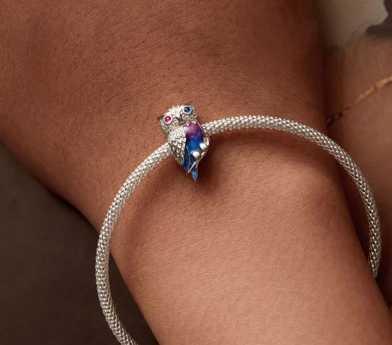 Шарм «Мудрость совы»