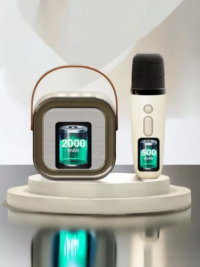 Колонка Bluetooth с двумя микрофонами