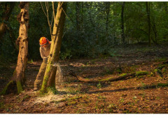 Пила цепная RY36CSX35A-150 - Фото 16