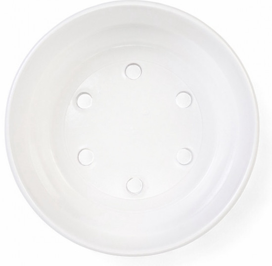 Горшок-бонсайница «Огма»