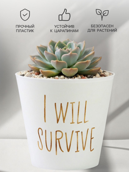 Кашпо для цветов «Я выживу»