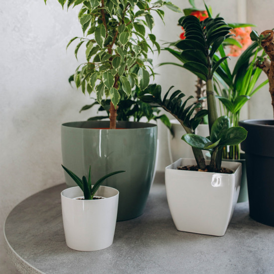 Кашпо для цветов