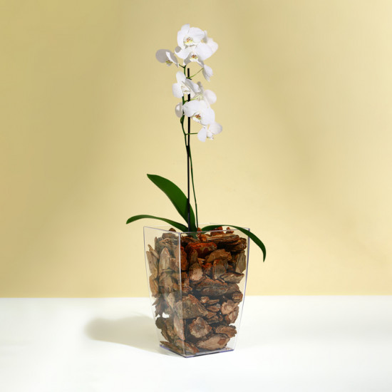 Горшок для орхидей