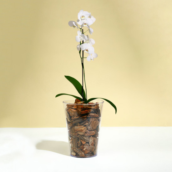 Горшок для орхидей